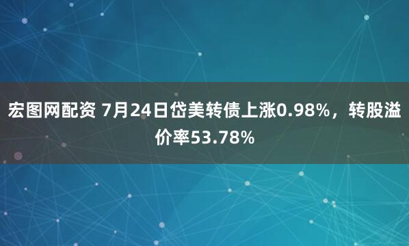 宏图网配资 7月24日岱美转债上涨0.98%，转股溢价率53.78%