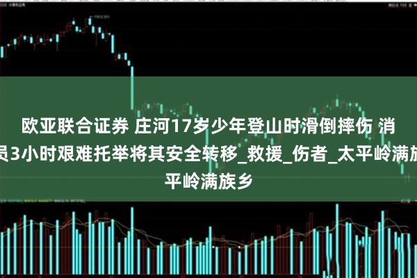 欧亚联合证券 庄河17岁少年登山时滑倒摔伤 消防员3小时艰难托举将其安全转移_救援_伤者_太平岭满族乡
